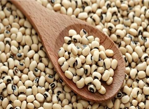 خرید کنسرو لوبیا چشم بلبلی + قیمت فروش استثنایی
